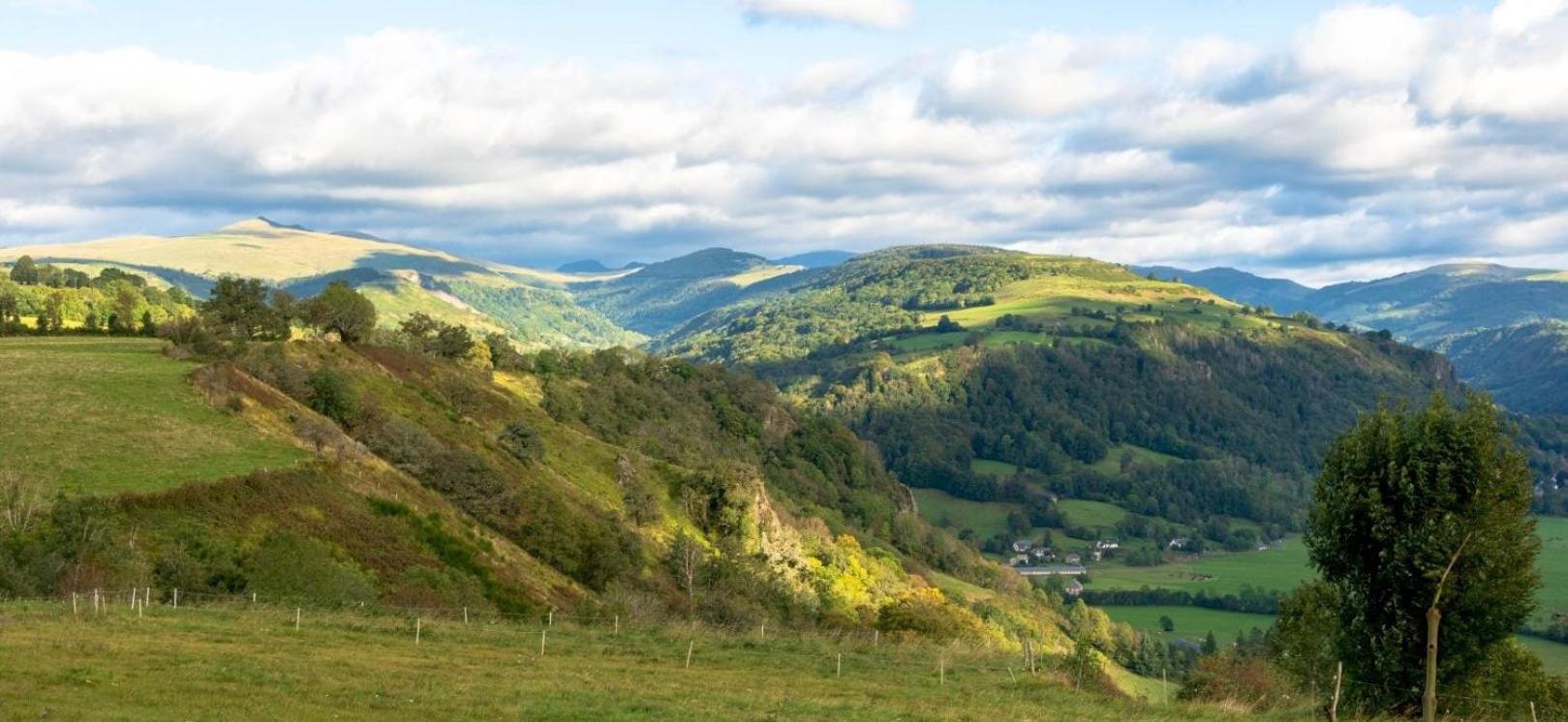Pensjonat Domaine De La Chaux De Revel Saint-Martin-Valmeroux Zewnętrze zdjęcie